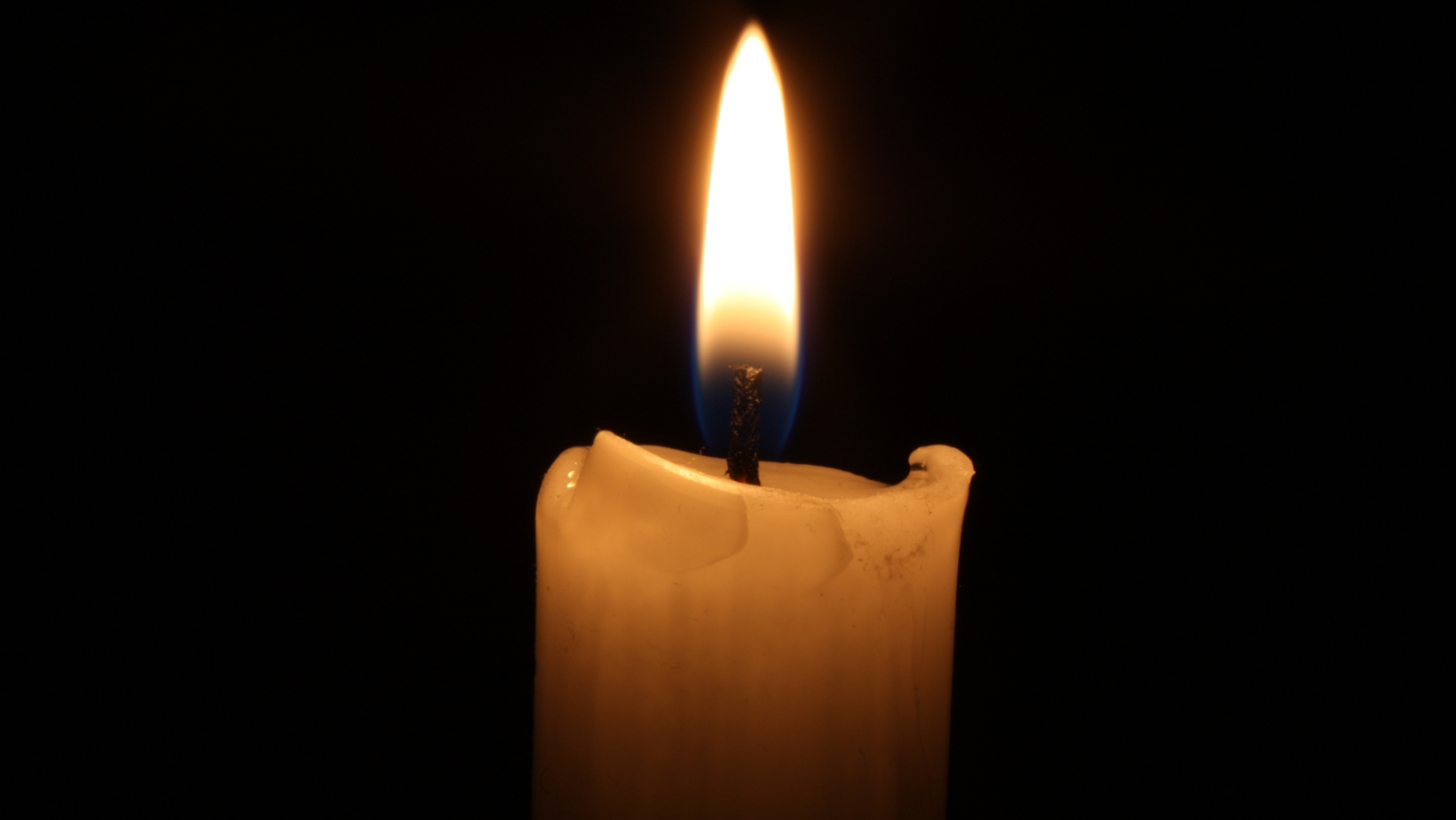 Zdjęcie Nie żyje gwiazda „Lassie” i „Zagubionych w kosmosie”! Odeszła w wieku 100 lat #1