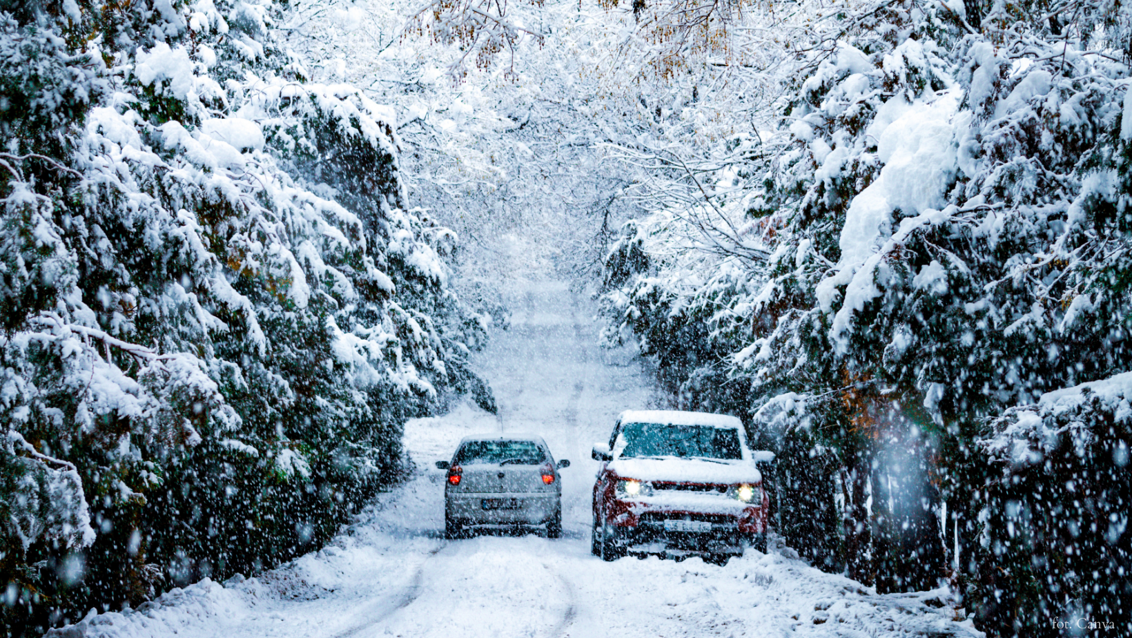 Zdjęcie Nawet 60 cm śniegu w kilka godzin. IMGW wydaje czerwony alert przed śnieżycami! #1